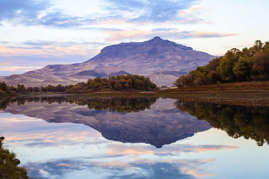 Natures Mirror