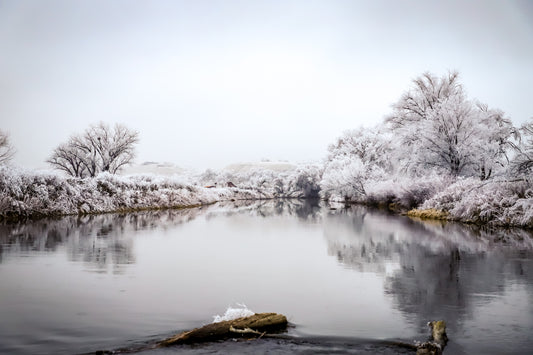 Frosty river side